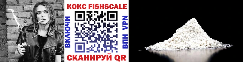 КОКАИН Fish Scale  купить закладку  hydra рабочий сайт  Мышкин 