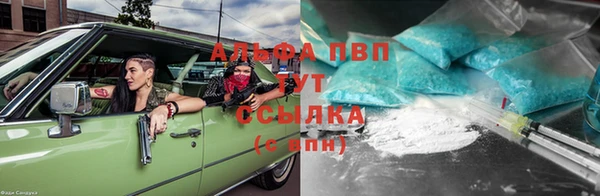 прущие грибы Арсеньев