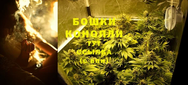 прущие грибы Арсеньев