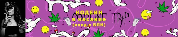 винт Вяземский