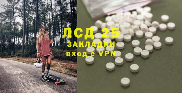 прущие грибы Арсеньев