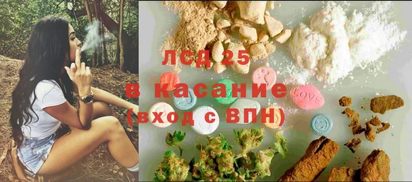 прущие грибы Арсеньев