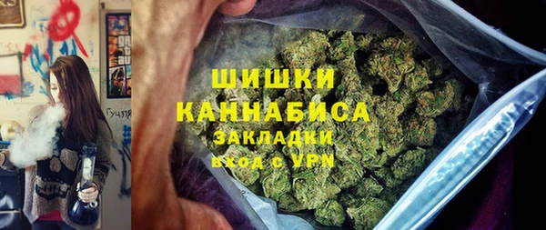 прущие грибы Арсеньев