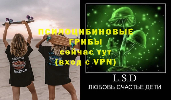 прущие грибы Арсеньев