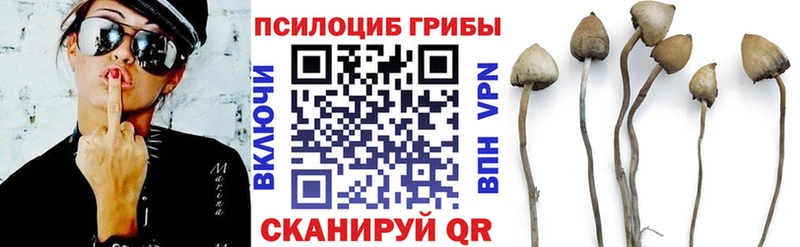 Галлюциногенные грибы прущие грибы где купить наркотик блэк спрут ссылка Мышкин